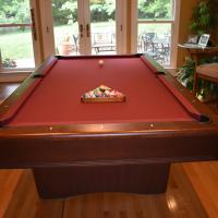 Oldhausen 8" Pool Table PLUS Accessories, Spectator Chairs and Light Fixture